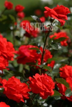 EA018339, Eastpress , Porvoo, Suomi